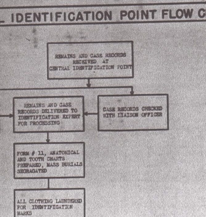 Anthropologists, Scientists, and Professionals that have worked on the U.S. Military Dead Identification since the end of WWII
